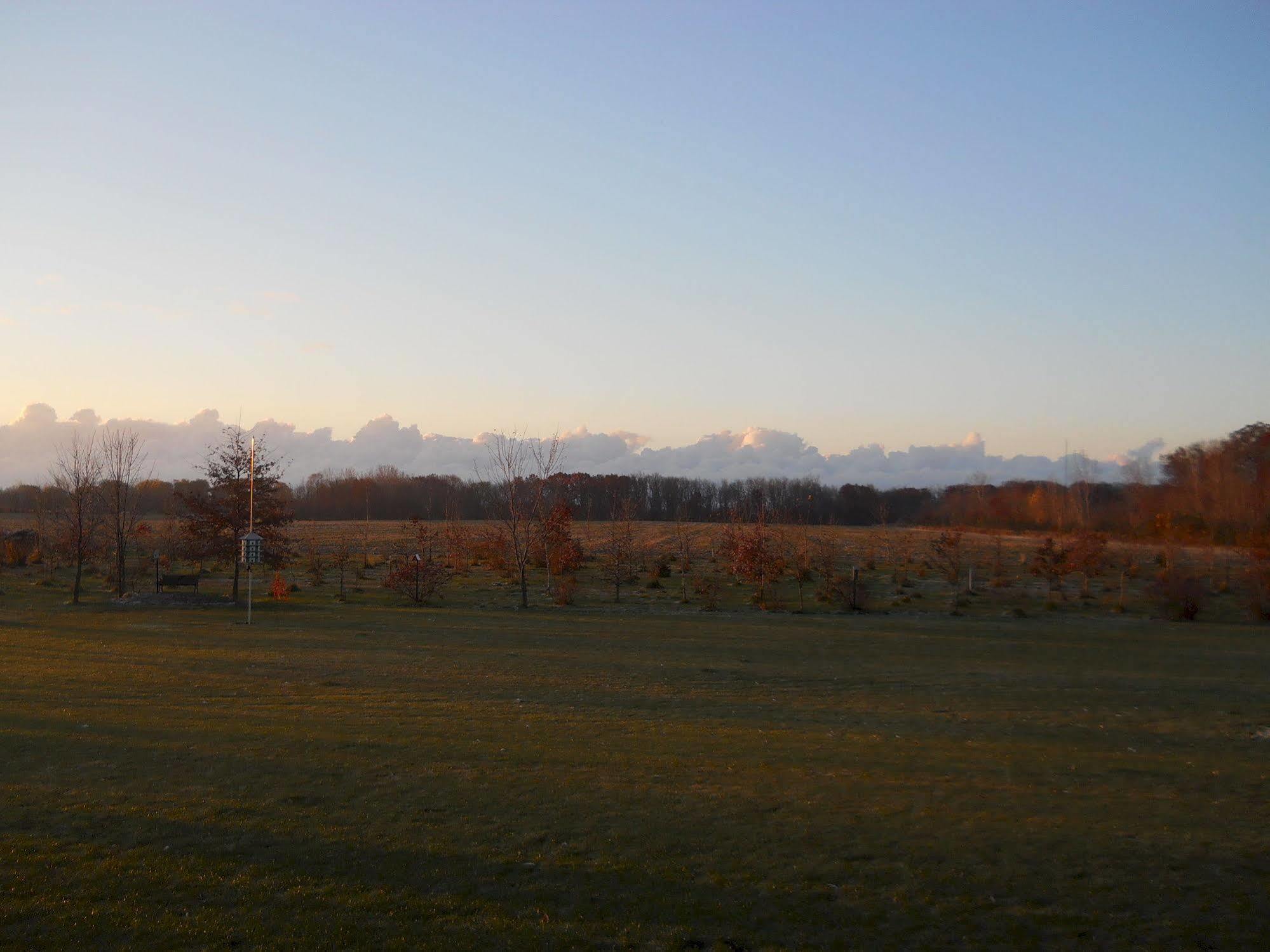 Wenzler'S Landing B&B Wheatley Buitenkant foto